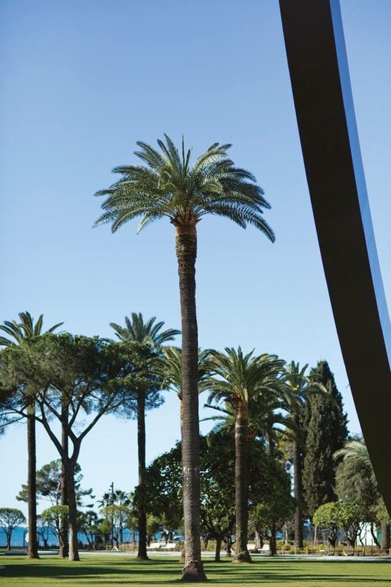 2 Chambres, Balcons, Vue Imprenable, Climatisation - Palace Bleu Leilighet Nice